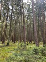 Tausche Waldgrundstück gegen Ackerland Bayern - Brunnen Vorschau