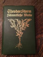 Theodor Storm  Sämtliche Werke Band 8 antiquarisch von 1907 Hamburg-Nord - Hamburg Groß Borstel Vorschau