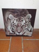 Eurographics Glasbild Tiger 30cm×30cm Baden-Württemberg - Teningen Vorschau