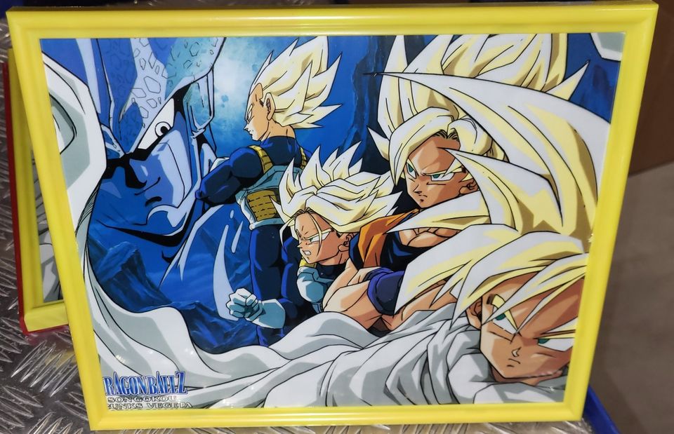 Dragonball Bild mit Bilderrahmen in Telgte