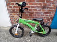 Kinderfahrrad Kawasaki Schleswig-Holstein - Westerrönfeld Vorschau