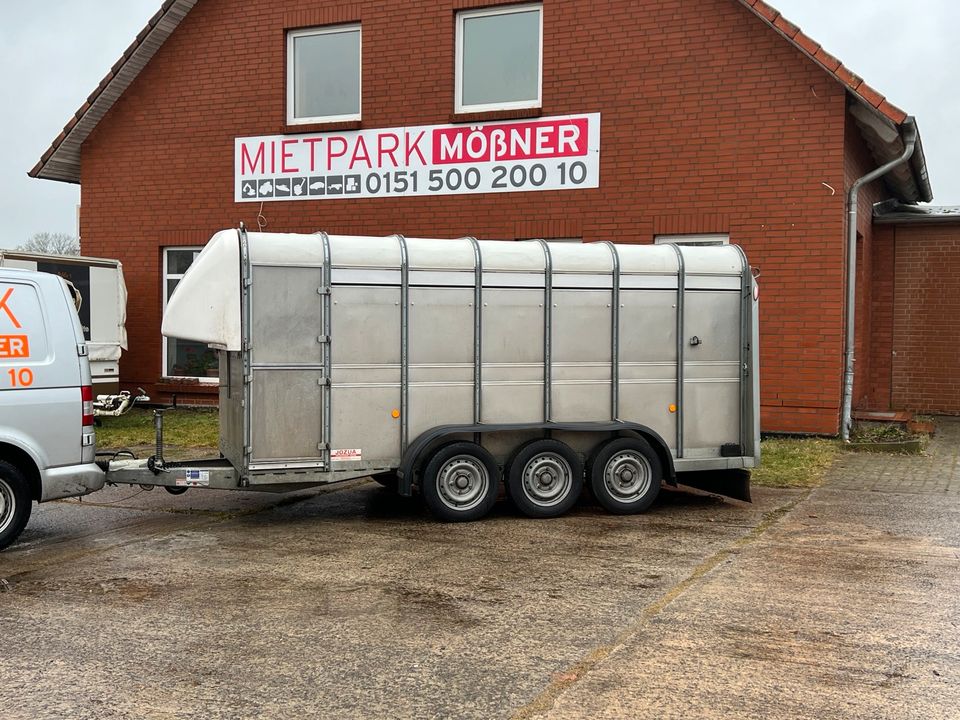 Viehanhänger Autotariler Trailer Kofferanhänger zu vermieten in Domsühl