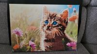 Bild DIAMOND PAINTING Katze   (V006) Nordrhein-Westfalen - Recklinghausen Vorschau