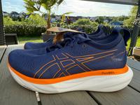 Asics Gel Nimbus 25 Neu Gr. 40,5 + 43,5 Laufschuh Herren Rheinland-Pfalz - Wittgert Vorschau