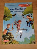 Lesemaus, Jungs Abenteuer zum Lesenlernen Niedersachsen - Bispingen Vorschau