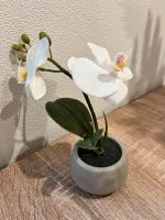 Kunstblume Kunstfplanze Orchidee Ikea Nordrhein-Westfalen - Kerken Vorschau