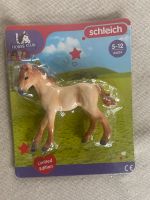 Schleich Horse Club Fohlen Niedersachsen - Langen Emsland Vorschau