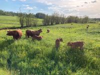 Rindfleisch direkt vom Bauernhof Bayern - Leutershausen Vorschau