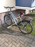 Fahrrad Kalkhoff RH 50 sehr guter Zustand Brandenburg - Nauen Vorschau