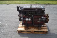 Deutz Motor F6L 912 für Deutz DX 6.10,6.05,DX110,8006,6.07,6.06 Niedersachsen - Emsbüren Vorschau