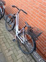 Fahrrad  curtis Schleswig-Holstein - Leezen Vorschau