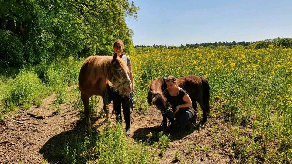 mobile Tierbetreuung in Reinbek