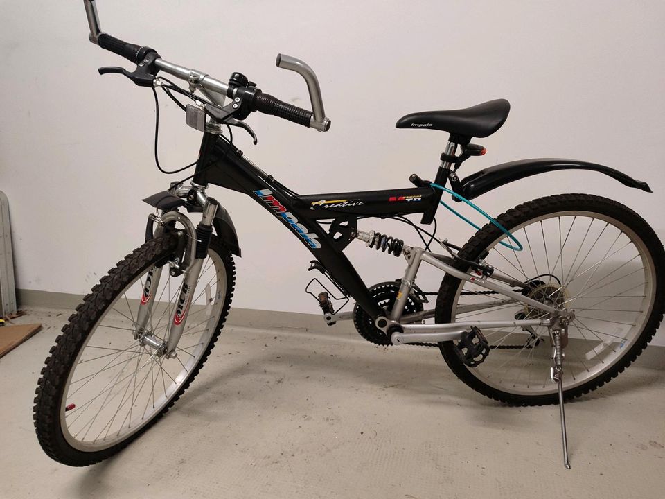 Mountainbike Fahrrad Impala meichi Creative 26 Zoll in Kitzingen