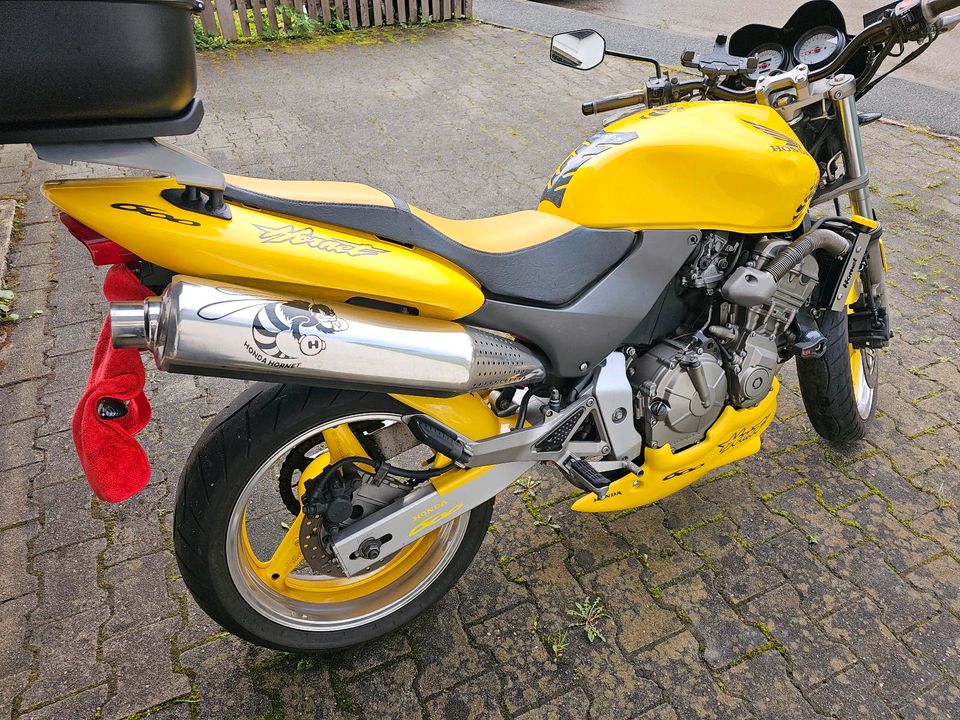 Honda Hornet  CB600F PC36 in Ebersberg