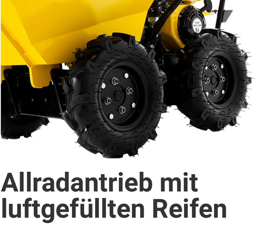 Mini Dumper Motorschubkarre zu  Miete in Heidenau