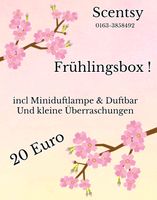 Scentsy Frühlingsbox....neu ! Nordrhein-Westfalen - Bottrop Vorschau
