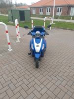 E Trike Rollektro 25 km/ h Nordfriesland - Niebüll Vorschau