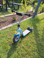 PUKY Roller Scooter sehr guter Zustand Schleswig-Holstein - Kaltenkirchen Vorschau