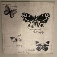 Wandbild Leinwand Butterfly Schmetterling 50 x 50 cm Neu Schleswig-Holstein - Stapelfeld Vorschau