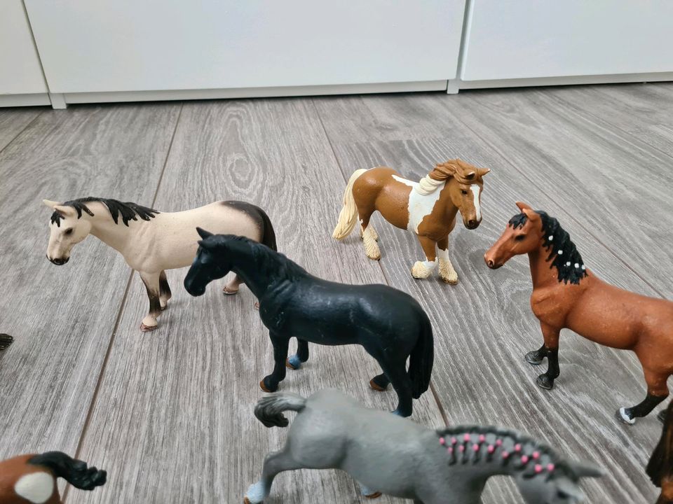 Schleich Pferde Set 15 Pferde Hengst Stute Fohlen in Ahrensfelde