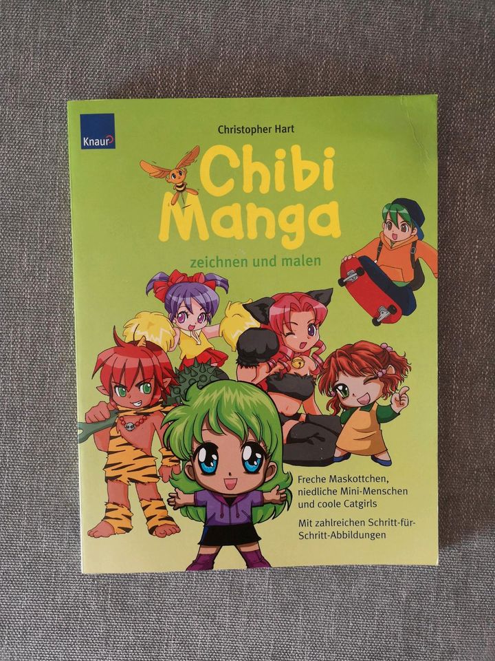 Buch Chibi Manga Zeichnen Malen Anime Japan Lernen in Blomberg