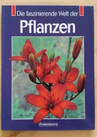 Buch "Die faszinierende Welt der Pflanzen" Berlin - Karlshorst Vorschau