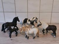 Schleich Pferde Fohlen Pferd Hessen - Bad Homburg Vorschau