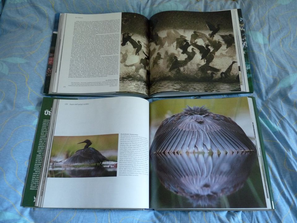 David Attenborough: 2 Bildbände Bücher Tiere und Pflanzen NEU in Stuttgart