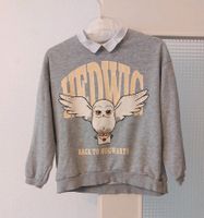 H&M-Mädchen-Sweatshirt, Größe 134/140 cm Niedersachsen - Jesteburg Vorschau