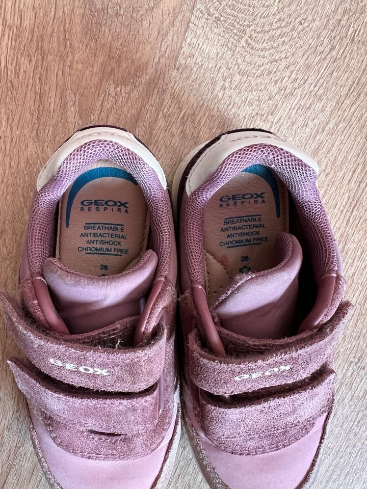 Mädchen Sneaker Schuh Sportschuh Kinder 26 Geox in Renningen