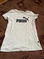 puma tshirt Schleswig-Holstein - Rendsburg Vorschau