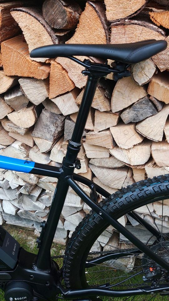 E-Bike E-Mountainbike (Bosch 500 Wh, Shimano XT, tubeless, TOP) in Limburgerhof