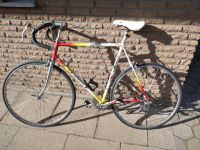 Castelli Rennrad 60cm vintage Niedersachsen - Emsbüren Vorschau