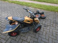 Kinder-Quad 36V 800w Sachsen-Anhalt - Schkopau Vorschau