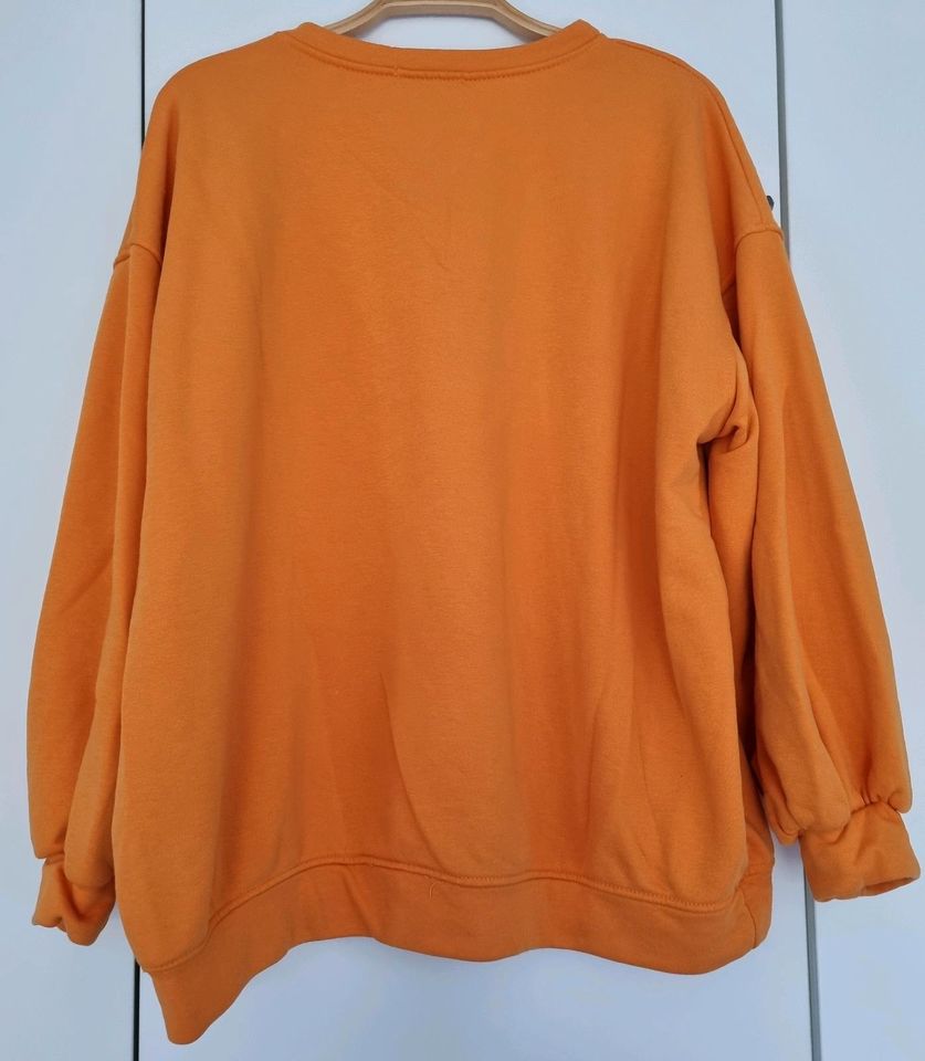 Believe Pullover Orange Brooklyn New York One Size XL wie NEU in Höxter