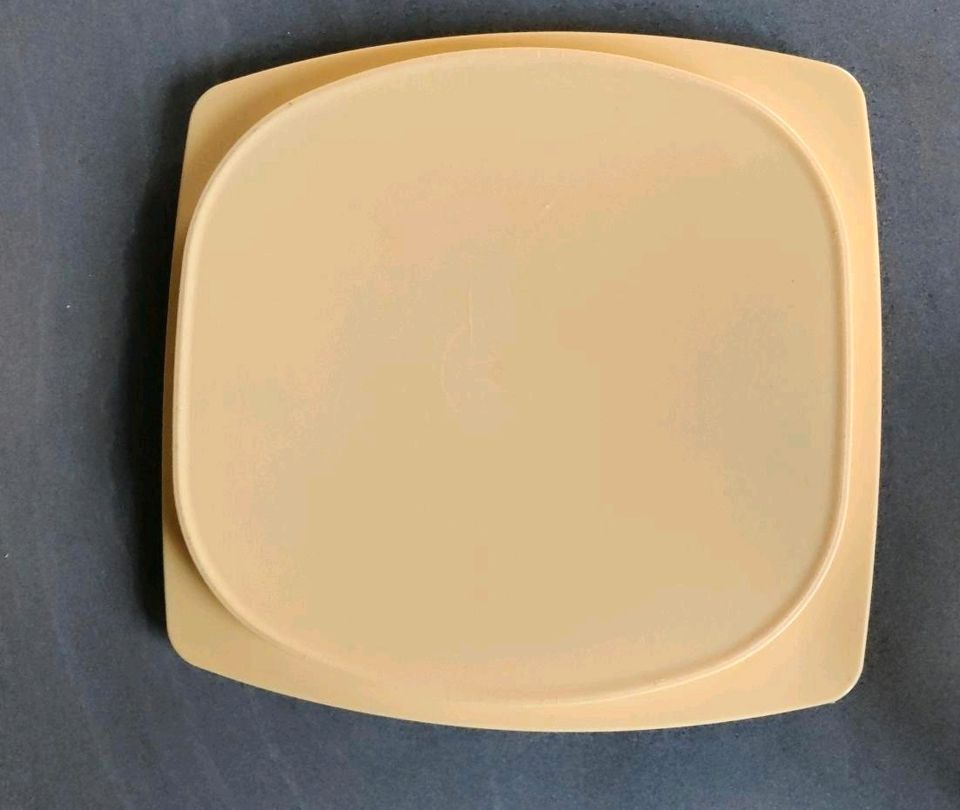 Tupperware Käse Max in Auenwald