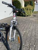 Bulls 26 Zoll Fahrrad Frankfurt am Main - Frankfurter Berg Vorschau