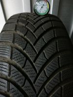 2x 215 60 R16 99H Semperit Speed-Grip 5 Winterreifen Nordrhein-Westfalen - Detmold Vorschau