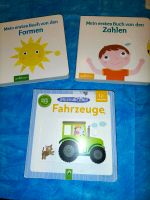 Kinderbücher Lernbücher Sachsen - Chemnitz Vorschau
