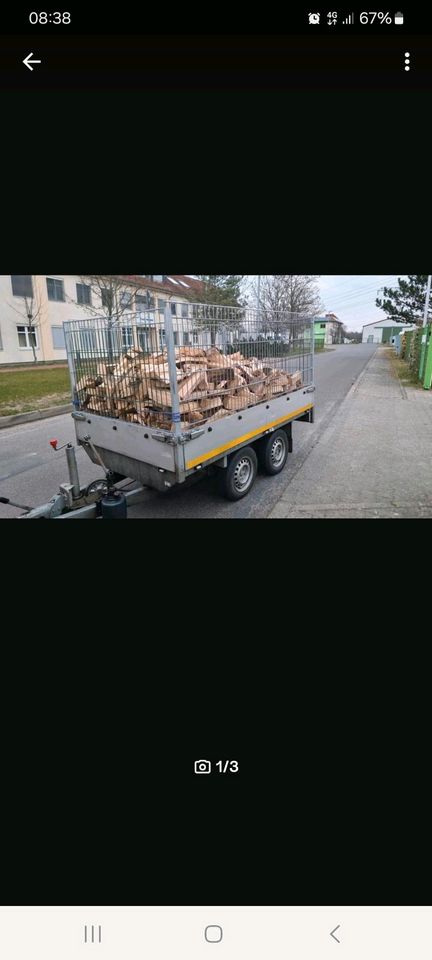 Brennholz Eiche Buche Rubinie 1Srm Gratis in Schönwalde-Glien