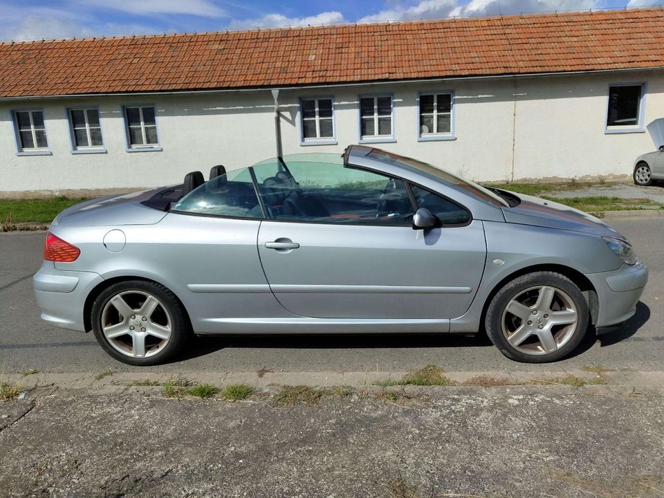 Peugeot 307 Basis CC Cabrio-Coupe (S1) in Weinbergen