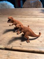 Schleich Dinosaurier Tyrannosaurus Rex Mini Dresden - Strehlen Vorschau