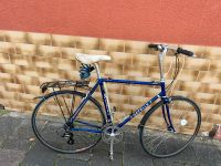 Gazelle Rennrad TOP Hessen - Kelsterbach Vorschau