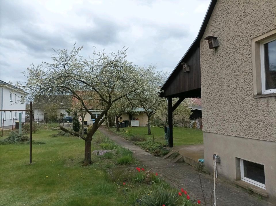Einfamilienhaus Provisionsfrei in Hennigsdorf