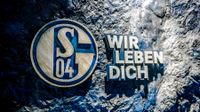 Suche FC Schalke 04 Dauerkarte Nordkurve Nordrhein-Westfalen - Selm Vorschau