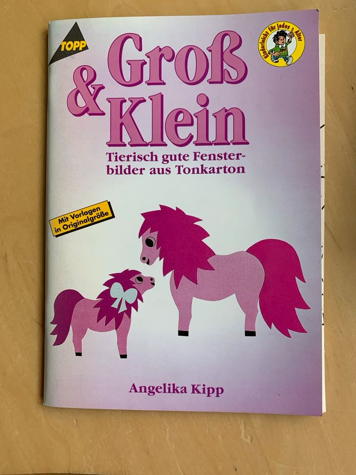 Bastelbücher von Topp/Brunnen/Falken/Creativ in Düsseldorf