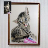 Handgezeichnetes Portrait, Gemälde, Tierzeichnung, Hund, Katze Bayern - Vöhringen Vorschau