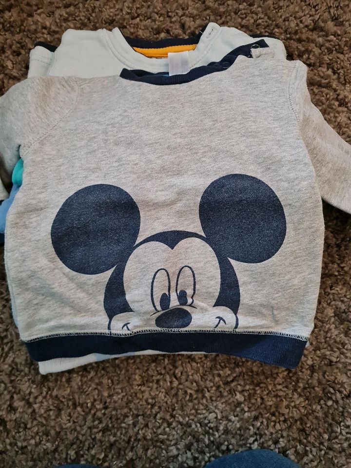 7 dünne Pullover Baby 80 in Laußnitz