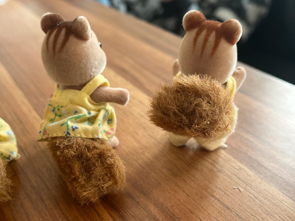 Sylvanian Families Eichhörnchen Familie Walnuss Squirrel 4172 in Düsseldorf