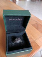 Sehr schöner Ring von Pandora gr 54,bin vom 8.6 bis 27.6.in Urlau Hessen - Altenstadt Vorschau
